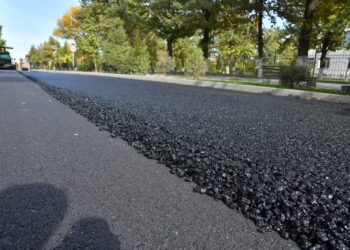 ШЫМКЕНТТЕ 2021 ЖЫЛЫ 109 КӨШЕ ЖӨНДЕЛЕДІ