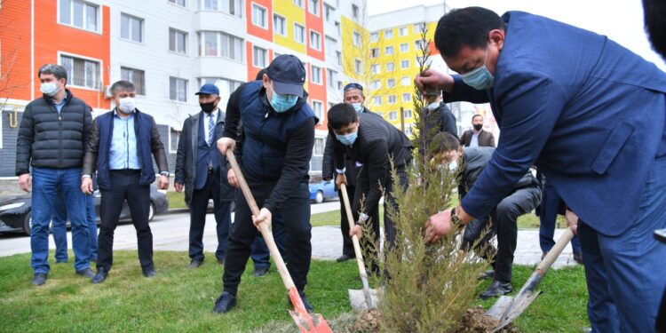 ШЫМКЕНТЦЫ НАЧАЛИ ПРАЗДНОВАНИЕ НАУРЫЗА С АКЦИИ ПО ПОСАДКЕ ДЕРЕВЬЕВ