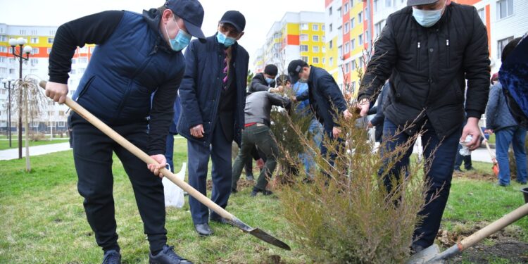 ШЫМКЕНТЦЫ НАЧАЛИ ПРАЗДНОВАНИЕ НАУРЫЗА С АКЦИИ ПО ПОСАДКЕ ДЕРЕВЬЕВ