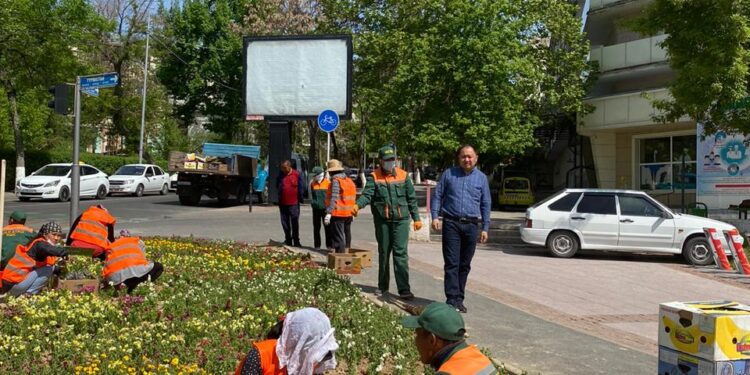 ЖЫЛЫНА 800-ДЕН АСА ШАЛА ТУҒАН СӘБИЛЕРГЕ КҮТІМ ЖАСАЙТЫН БІЛІКТІ ДӘРІГЕР