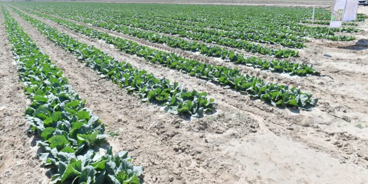 ӨМІРЗАҚ ШӨКЕЕВ ЖАЙЫЛЫМДЫҚ ЖЕР МӘСЕЛЕСІН РЕТТЕУДІ ЖҮКТЕДІ