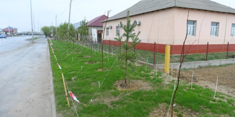 ТҮРКІСТАН ҚАЛАСЫН АБАТТАНДЫРУ 32 СЕКТОРҒА БӨЛІНГЕН