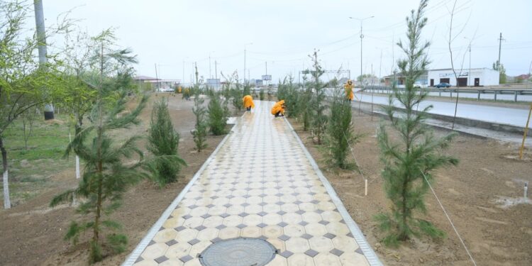 ТҮРКІСТАН ҚАЛАСЫН АБАТТАНДЫРУ 32 СЕКТОРҒА БӨЛІНГЕН