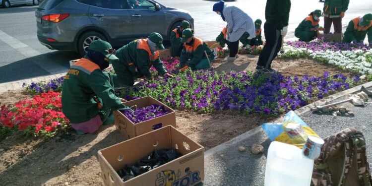ЖЫЛЫНА 800-ДЕН АСА ШАЛА ТУҒАН СӘБИЛЕРГЕ КҮТІМ ЖАСАЙТЫН БІЛІКТІ ДӘРІГЕР