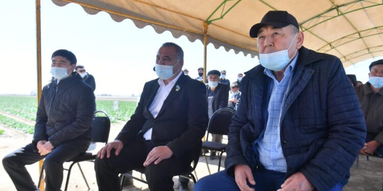 ӨМІРЗАҚ ШӨКЕЕВ ЖАЙЫЛЫМДЫҚ ЖЕР МӘСЕЛЕСІН РЕТТЕУДІ ЖҮКТЕДІ