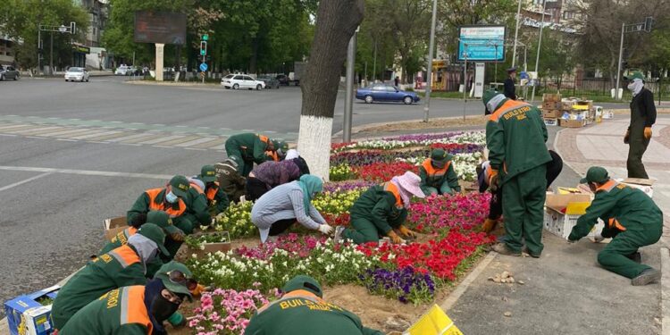 ЖЫЛЫНА 800-ДЕН АСА ШАЛА ТУҒАН СӘБИЛЕРГЕ КҮТІМ ЖАСАЙТЫН БІЛІКТІ ДӘРІГЕР