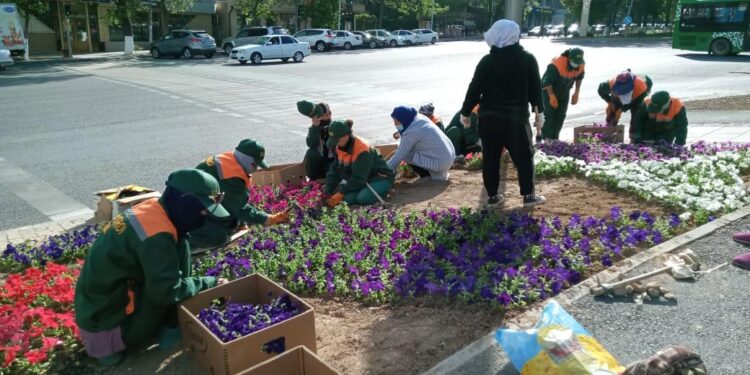 ЖЫЛЫНА 800-ДЕН АСА ШАЛА ТУҒАН СӘБИЛЕРГЕ КҮТІМ ЖАСАЙТЫН БІЛІКТІ ДӘРІГЕР