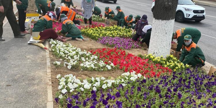 ЖЫЛЫНА 800-ДЕН АСА ШАЛА ТУҒАН СӘБИЛЕРГЕ КҮТІМ ЖАСАЙТЫН БІЛІКТІ ДӘРІГЕР