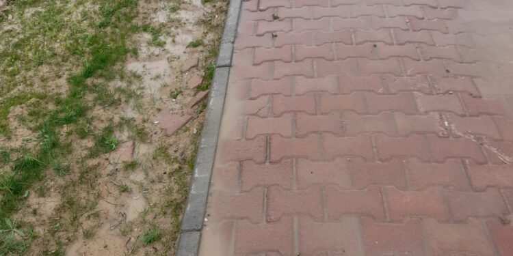 ӨТКЕН ТӘУЛІКТЕ 3 482 АДАМҒА ВАКЦИНА САЛЫНДЫ