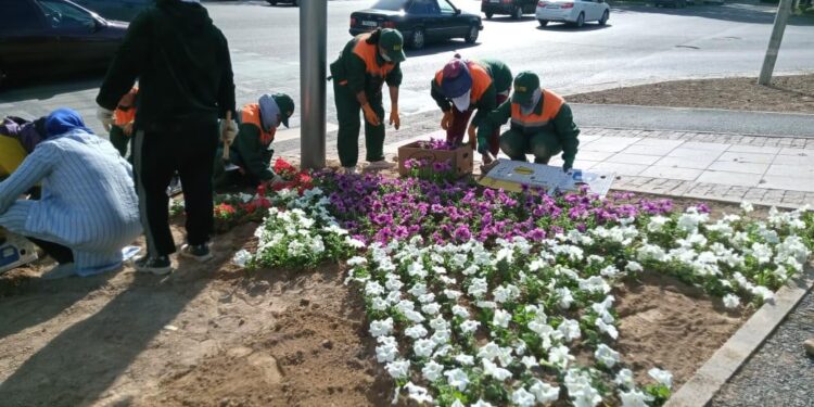 ЖЫЛЫНА 800-ДЕН АСА ШАЛА ТУҒАН СӘБИЛЕРГЕ КҮТІМ ЖАСАЙТЫН БІЛІКТІ ДӘРІГЕР