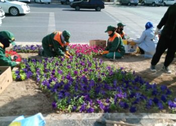 ЖЫЛЫНА 800-ДЕН АСА ШАЛА ТУҒАН СӘБИЛЕРГЕ КҮТІМ ЖАСАЙТЫН БІЛІКТІ ДӘРІГЕР