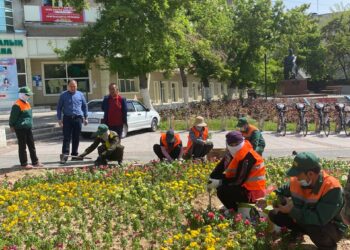 ЖЫЛЫНА 800-ДЕН АСА ШАЛА ТУҒАН СӘБИЛЕРГЕ КҮТІМ ЖАСАЙТЫН БІЛІКТІ ДӘРІГЕР
