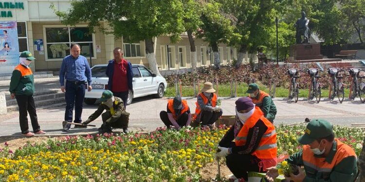 ЖЫЛЫНА 800-ДЕН АСА ШАЛА ТУҒАН СӘБИЛЕРГЕ КҮТІМ ЖАСАЙТЫН БІЛІКТІ ДӘРІГЕР