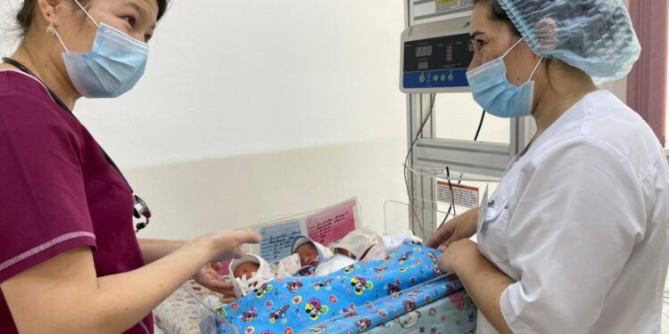 Жыл басынан бері бесінші үшем дүниеге келді