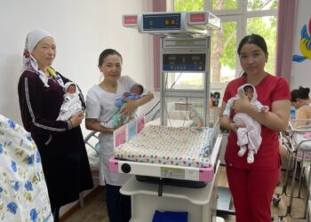 Жыл басынан бері бесінші үшем дүниеге келді