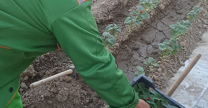 300 АЗАМАТҚА 1 МЛН ТЕҢГЕЛІК ТҰРҒЫН ҮЙ СЕРТИФИКАТТАРЫН ТАПСЫРУ  ЖОСПАРЛАНУДА