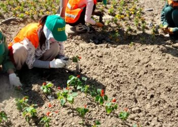 300 АЗАМАТҚА 1 МЛН ТЕҢГЕЛІК ТҰРҒЫН ҮЙ СЕРТИФИКАТТАРЫН ТАПСЫРУ  ЖОСПАРЛАНУДА
