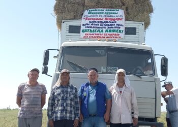 Шардаралықтар Маңғыстауға 1000 бума шөп жіберді