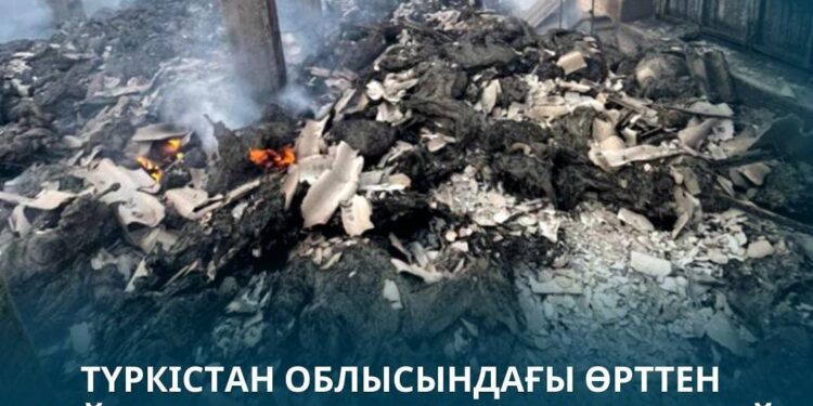 Түркістан облысындағы өрттен қойшы қаза тауып, мыңнан аса қой қырылды