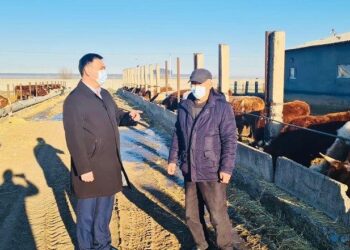 Ауылшаруашылығы өнімдерін өндіру көлемі артты