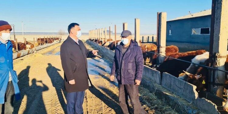 Ауылшаруашылығы өнімдерін өндіру көлемі артты