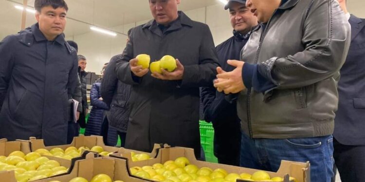 Министр өңірлерге Сайрамдағы қарқынды бау шаруашылығының тәжірибесін енгізуді тапсырды