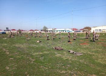 Арыстың ажарлануына әскерилер де атсалысуда