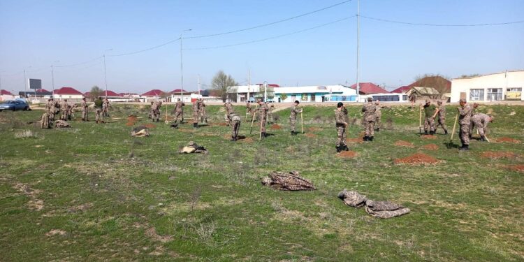 Арыстың ажарлануына әскерилер де атсалысуда