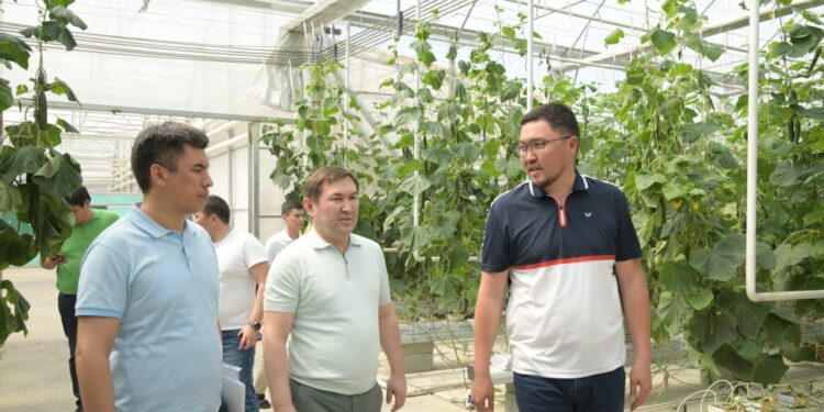 Қала әкімі ауылшаруашылық нысандарын аралады