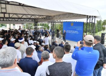 Түлкібастықтарды не алаңдатады?