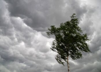 Синоптиктер бірнеше өңірде ескерту жариялады