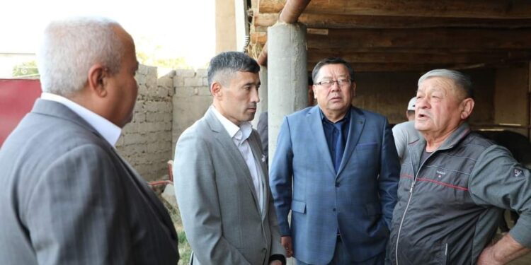 Сарыағаш ауданында мал шаруашылығы өркендеп жатыр
