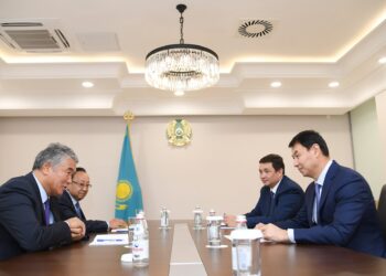 Дархан Сатыбалды Түрксой ұйымының бас хатшысымен кездесті