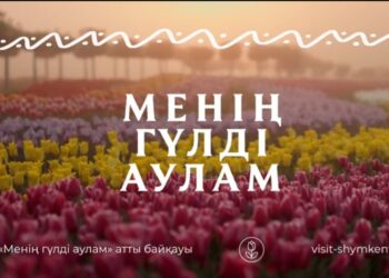 «Менің гүлді аулам»  конкурсы басталды