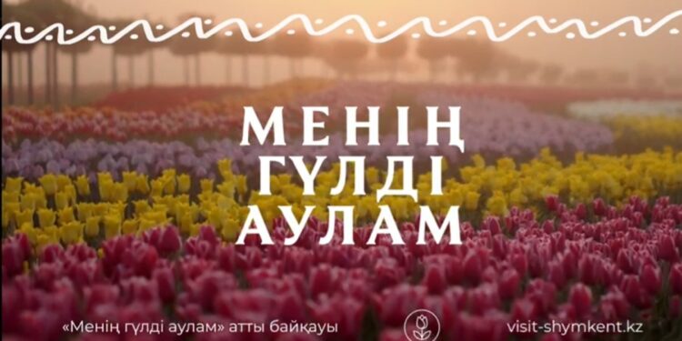 «Менің гүлді аулам»  конкурсы басталды