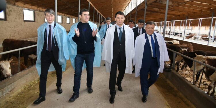 Дархан Сатыбалды Сайрам ауданындағы бастамаларды оң бағалады