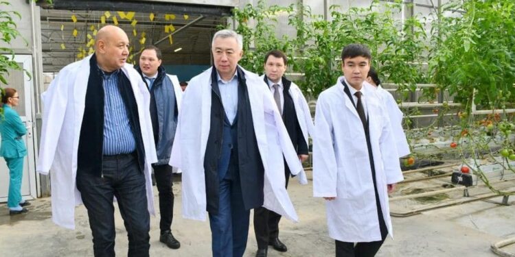 Вице-премьер Түркістан облысындағы жылыжай жұмысымен танысты