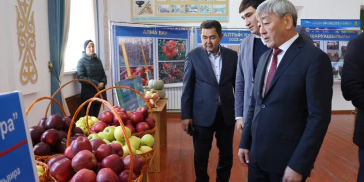 Түркістан: Түлкібастық шаруалардың еңбектері еленді