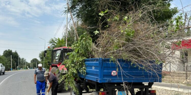 «Таза Қазақстан»: Түлкібастықтар сенбіліктерге белсенді қатысуда