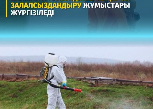 Шымкентте жәндіктерге қарсы залалсыздандыру жұмыстары жүргізіледі