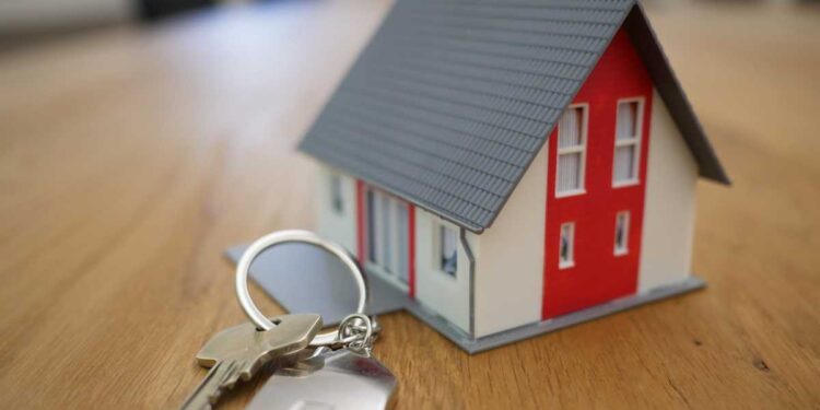 ЕЛІМІЗДЕ РЕКТОРЛЫҚ КОРПУСТЫҢ 50%-ДАН АСТАМЫ ЖАҢАРТЫЛДЫ