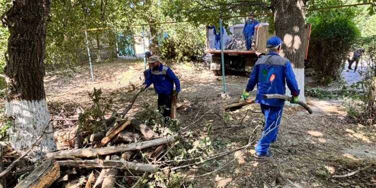 В ШЫМКЕНТЕ ПРОШЕЛ МАСШТАБНЫЙ СУББОТНИК