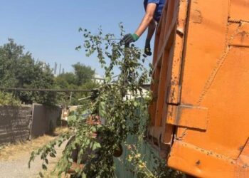 Комплексное благоустройство и озеленение Енбекшинского района: системный подход к формированию устойчивой городской среды