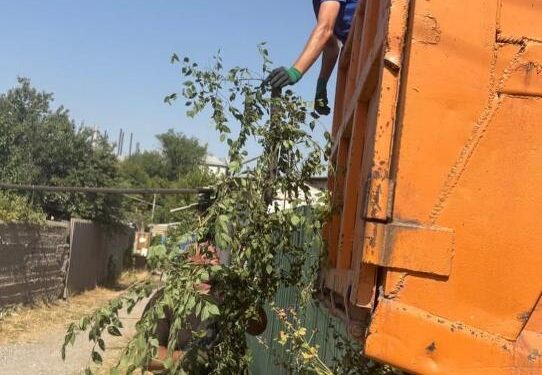 Комплексное благоустройство и озеленение Енбекшинского района: системный подход к формированию устойчивой городской среды