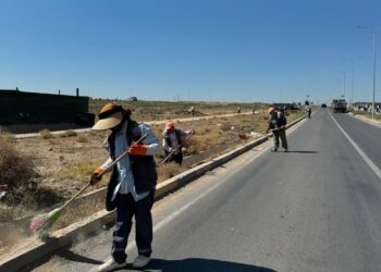 Еңбекші ауданында «Таза Қазақстан» аясында ауқымды сенбілік өтті