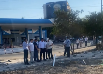 ЕҢБЕКШІ АУДАНЫНДА ТҰРҒЫНДАРҒА ҚОЛАЙЛЫ ОРТА ҚАЛЫПТАСТЫРУ ЖҰМЫСТАРЫ ЖАЛҒАСУДА