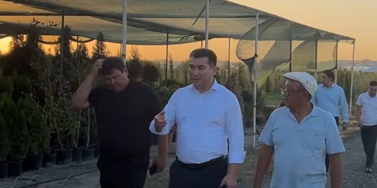 Еңбекші ауданында жасыл аймақтарды кеңейту жұмыстары назарда
