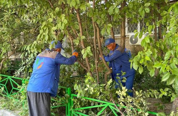 Таза табиғат – таза болашақ!