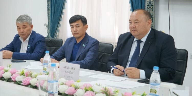 КЕЛЕС: ҚОҒАМДЫҚ ҚАБЫЛДАУДА КӨТЕРІЛГЕН МӘСЕЛЕЛЕР БАҚЫЛАУҒА АЛЫНДЫ