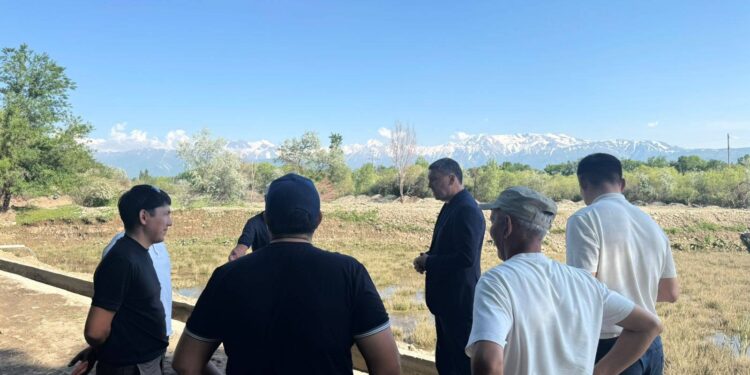 ТҮЛКІБАС: АҚБИІКТЕ ФОРЕЛЬ ӨСІРУ ЖОБАСЫ ЖҮЗЕГЕ АСУДА